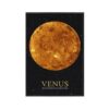 poster venus