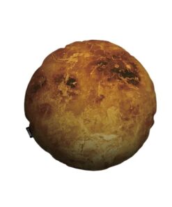 coussin venus