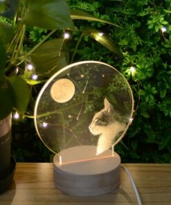 lampe lune chat