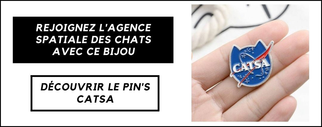 Pin's Catsa