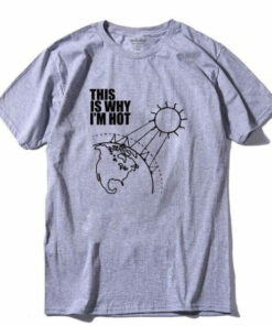 t shirt effet de serre gris